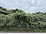 その他：目の前に広がる木々に心が癒されます♪