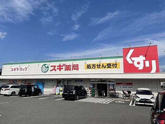 スギドラッグ油...