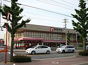 ヤマナカ稲葉地店まで　750m　徒歩約10分