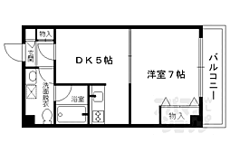 ドルフィンV 5階