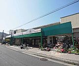 エーコープ京都中央岩倉店まで407m 年中無休9