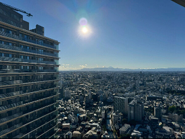 その他 ザ・パークハウス西新宿タワー60 38階/-