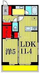 コニフェールI 1階1LDKの間取り