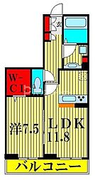 グレイス 1LDKの間取図画像