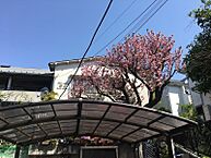 神奈川県横浜市港北区菊名5丁目：物件画像／株式会社アクアトゥエンティワン　大倉山エルム通り店