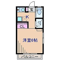 東急東横線 菊名駅 徒歩10分 1階/-