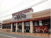 フードオアシスOTANI宇都宮駅東店 379m