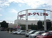 ヨークタウン石橋店 3620m