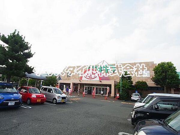 画像29:【スーパー】スーパーアルプス愛川店まで582ｍ