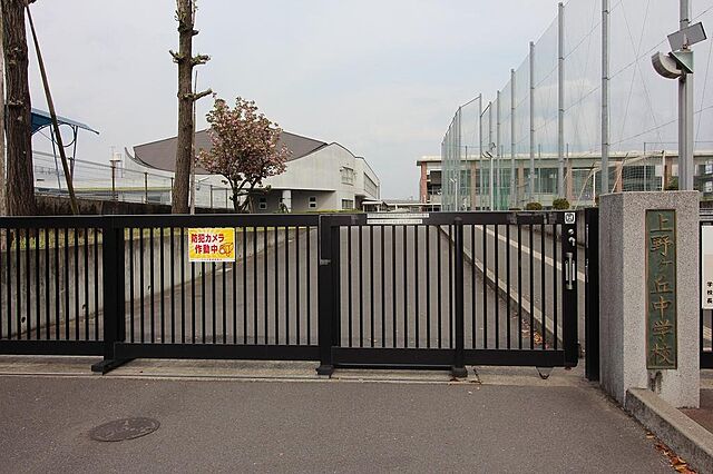 周辺 サーパス上野 2階/-