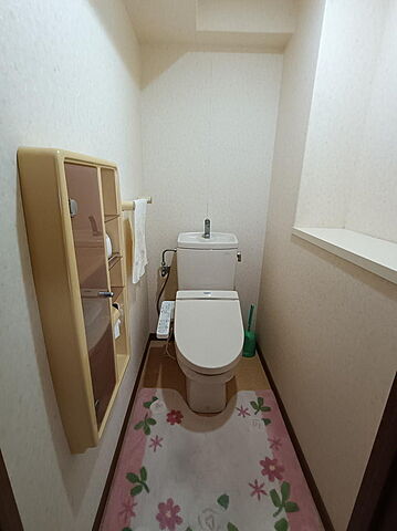 トイレ エイルヴィラビューシティ多賀山 6階/-