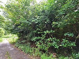 物件画像 勝山黒田土地