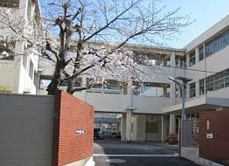北九州市立富野小学校(619m)