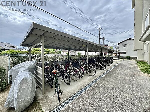 画像19:駐車場