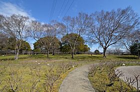 八善  ｜ 兵庫県伊丹市口酒井1丁目（賃貸アパート1K・1階・28.18㎡） その24