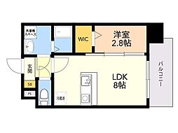 モダンパラッツォ天神東NEURO 1LDKの間取図画像
