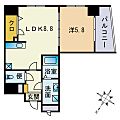 スーペリアニューハイム薬院5階9.1万円