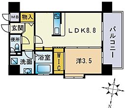 アンベリール薬院 1LDKの間取図画像