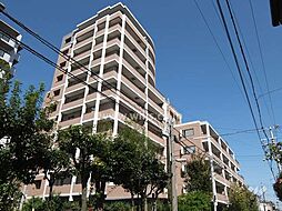 物件画像 セレッソコート芦屋竹園