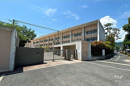 精道小学校[公立]の外観
