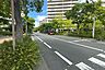 その他：敷地東側の前面道路（南側から）