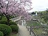 周辺：水月公園の外観