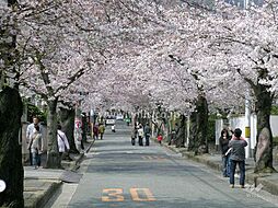 周辺施設の画像