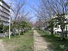 周辺：新船場南公園の外観