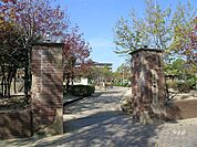 佐井寺南が丘公園