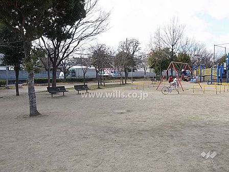 新高中央公園の外観