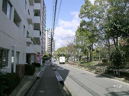 敷地東側の前面道路（府道121号線）。街路樹がきれいな通りです。