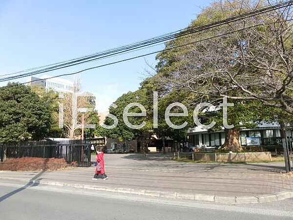 画像20:私立淑徳大学千葉キャンパス 徒歩23分。 1810m