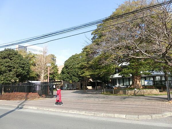 千葉県千葉市中央区南町２丁目(賃貸マンション1LDK・1階・31.99㎡)の写真 その27