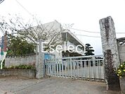 大網白里市立瑞穂小学校 徒歩11分。 870m