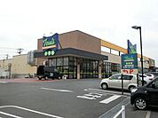 トウズ 940m