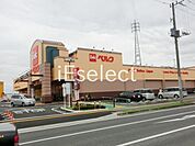 ベルク千葉浜野店 徒歩12分。 900m