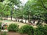 周辺：宮前平公園 徒歩4分。 250m