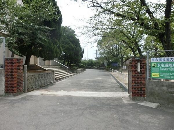 画像15:中井小学校(296m)