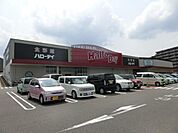 ハローデイ井堀店 (229m)