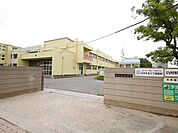 西小倉小学校(550m)