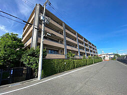 物件画像 コスモ芦屋川シーサイドテラス