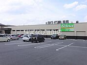 Felna三好姥子店 463m