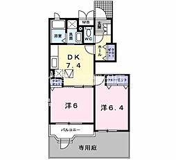クレマチス