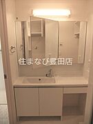 同型反転タイプ