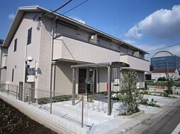 ハーブスラベンダー