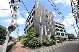 シルフィッド 501