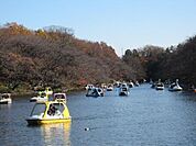 井の頭公園 1200m
