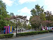東京外国語大学 1100m