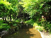 市川緑道 650m
