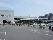 コーナン鎌倉大船モール 2548m